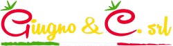 Giugno & C. S.r.l.